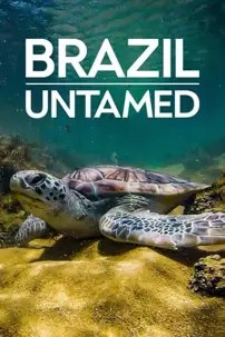 watch-Brazil Untamed