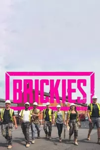 watch-Brickies