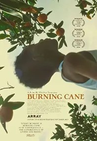 watch-Burning Cane