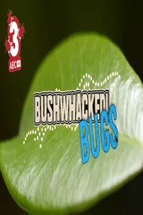 watch-Bushwhacked Bugs!