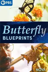 watch-Butterfly Blueprints