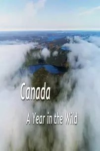 watch-Canada: A Year in the Wild
