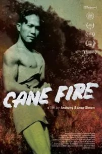 watch-Cane Fire