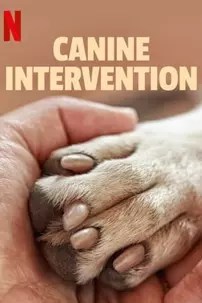 watch-Canine Intervention