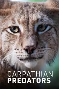 watch-Carpathian Predators