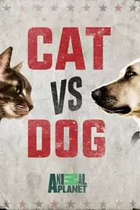 watch-Cat vs. Dog