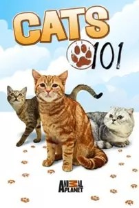 watch-Cats 101