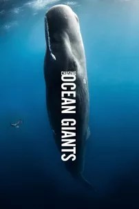 watch-Chasing Ocean Giants