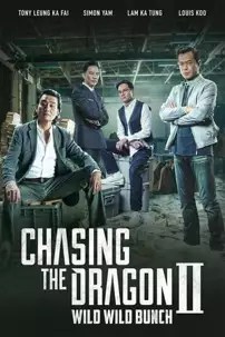 watch-Chasing the Dragon II: Wild Wild Bunch