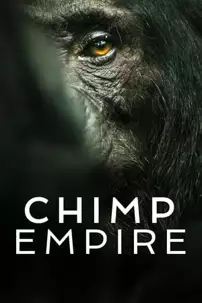 watch-Chimp Empire