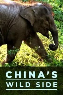 watch-China’s Wild Side