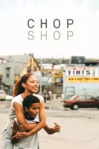 watch-Chop Shop