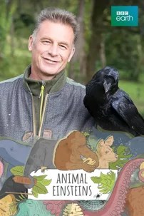 watch-Chris Packham’s Animal Einsteins