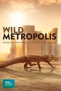 watch-Cities: Nature’s New Wild