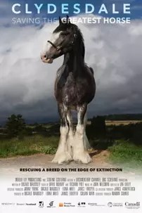watch-Clydesdale: Saving the Greatest Horse