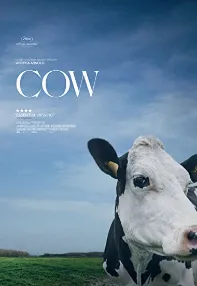watch-Cow