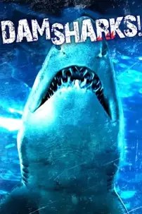 watch-Dam Sharks