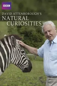 watch-David Attenborough’s Natural Curiosities