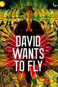 watch-David Wants to Fly