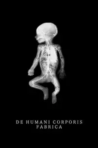 watch-De Humani Corporis Fabrica