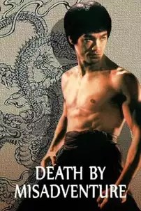 watch-Death by Misadventure: The Mysterious Life of Bruce Lee