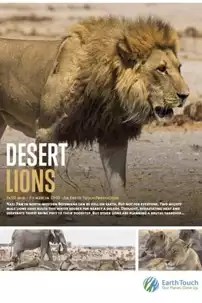 watch-Desert Lions