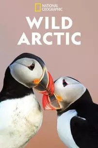 watch-Destination Wild: Wild Arctic