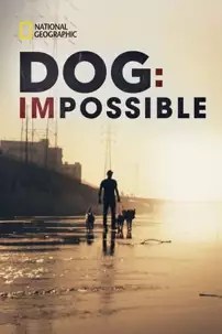 watch-Dog: Impossible