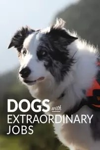 watch-Dogs with Extraordinary Jobs