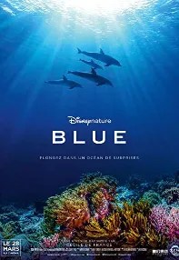 watch-Dolphin Reef