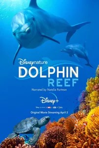 watch-Dolphin Reef