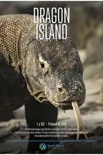 watch-Dragon Island