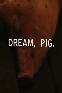 watch-Dream, Pig.