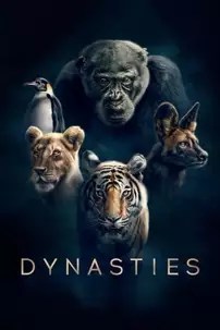 watch-Dynasties