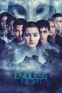 watch-Endless Night