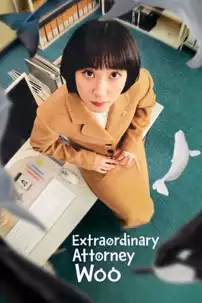 watch-Extraordinary Attorney Woo