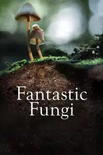 watch-Fantastic Fungi