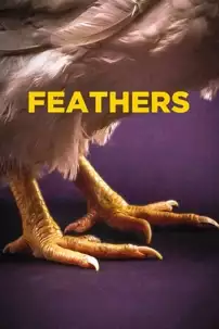 watch-Feathers