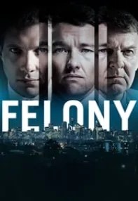 watch-Felony