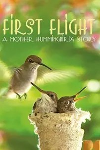 watch-First Flight: A Mother Hummingbird’s Story
