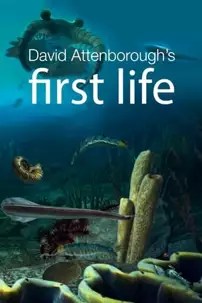 watch-First Life