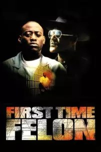 watch-First Time Felon