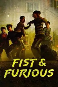 watch-Fist & Furious