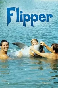 watch-Flipper