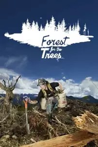 watch-Forest for the Trees