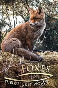 watch-Foxes: Their Secret World