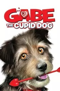 watch-Gabe the Cupid Dog