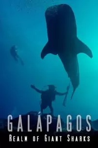 watch-Galapagos Realm Of Giant Sharks