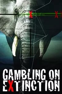 watch-Gambling on Extinction