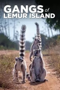 watch-Gangs of Lemur Island